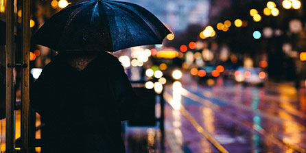 摩洛哥瓦赫达球迷现场助威，激发球队夺冠斗志